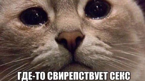напоминаю