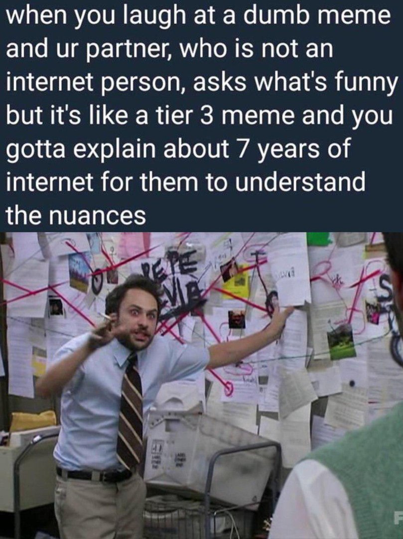 when you laugh at а dumb meme and partner, who is not an internet person, asks what's funny but it's like a tier 3 meme and you gotta explain about 7 years of internet for them to understand the nuanc