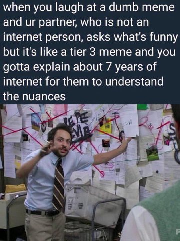when you laugh at а dumb meme and partner, who is not an internet person, asks what's funny but it's like a tier 3 meme and you gotta explain about 7 years of internet for them to understand the nuanc