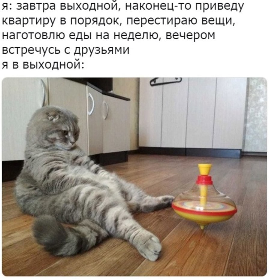 я: завтра выходной, наконец-то приведу квартиру в порядок, перестираю вещи, наготовлю еды на неделю, вечером встречусь с друзьями Я В ВЫХОДНОЙ: a я