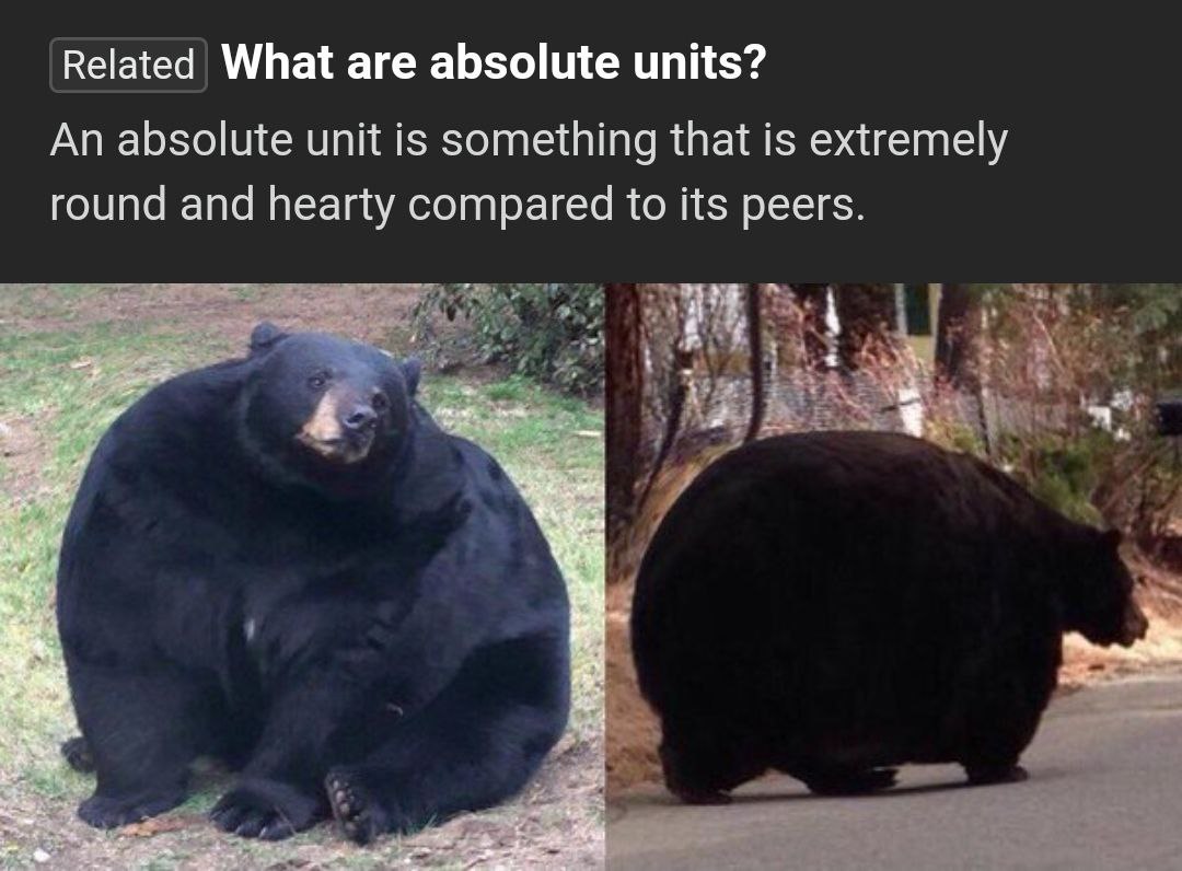 Related What are absolute units? An absolute unit is something that is extremely round and hearty compared to its peers.