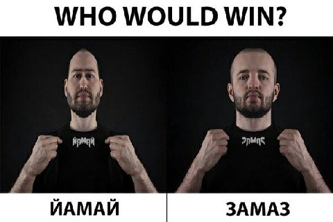 WHO WOULD WIN?