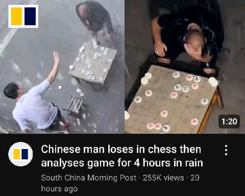 А 20_ Chinese man loses chess then analyses game for 4 hours in rain South China Morning Post views 20 hours ago
