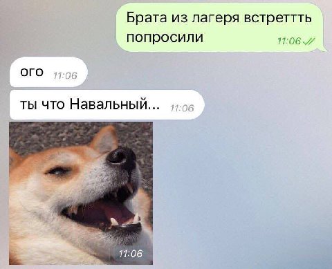 Брата из лагеря встреттть попросили ОГО 17:06 ты что Навальный...