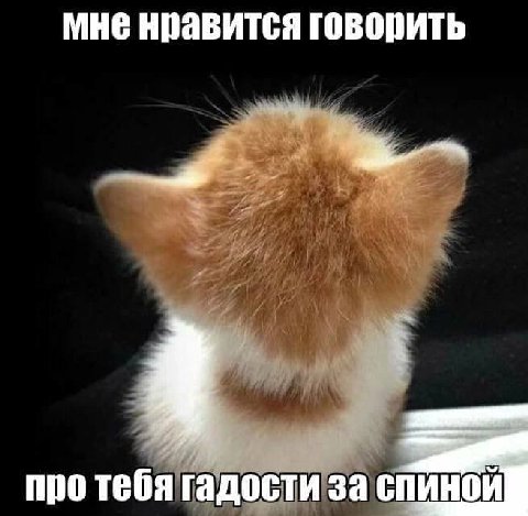 мне нравится говорить про тебя гадости за