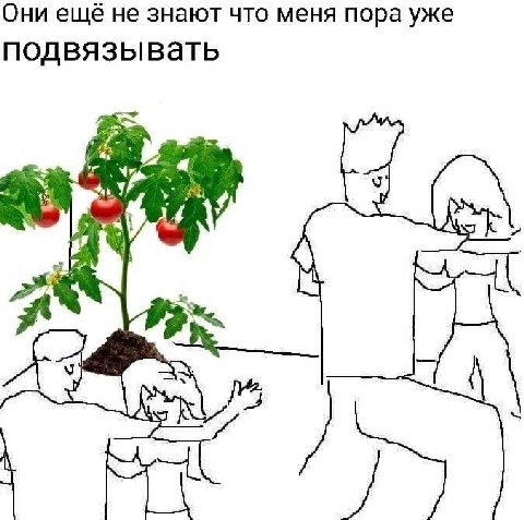 Они ещё не знают что меня пора уже подвязывать