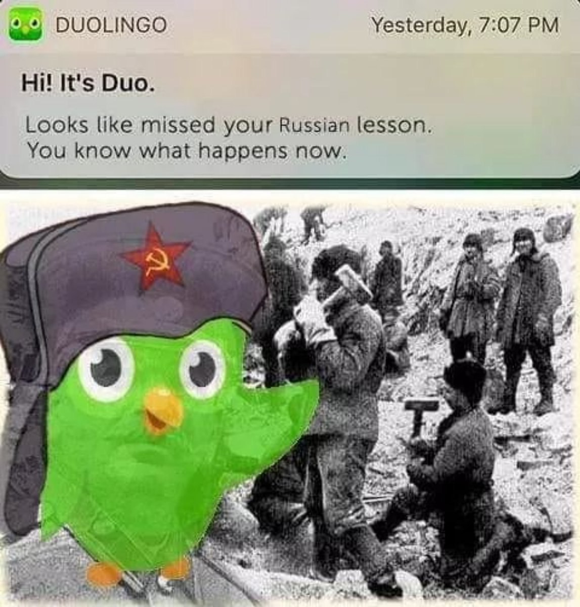 ayy DUOLINGO Yesterday, 7:07 It's Duo Looks like missed your Russian lesson You know what happens now у у 9 a