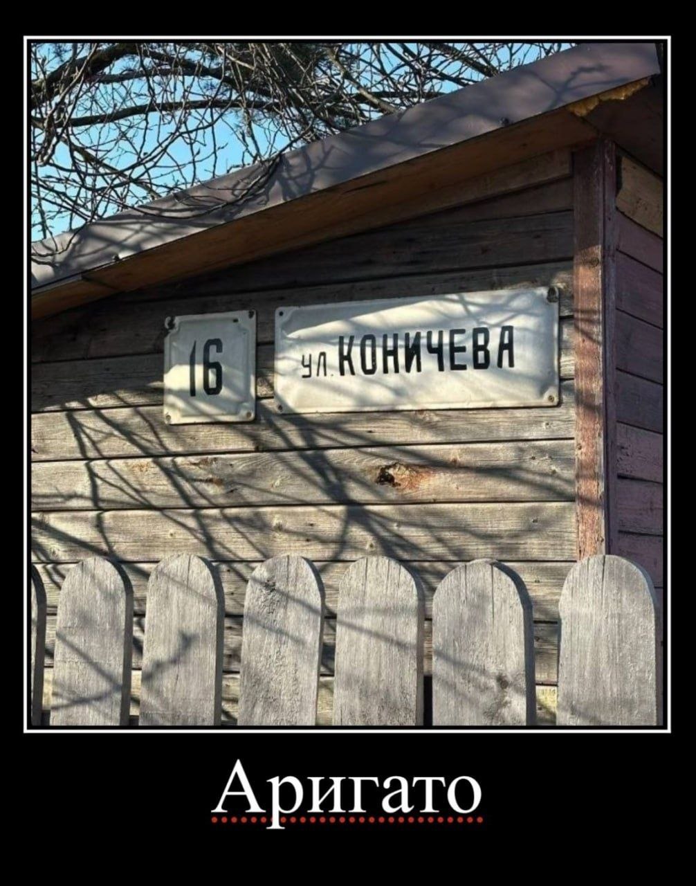 4 КОНИЧЕВА SSS a Аригато