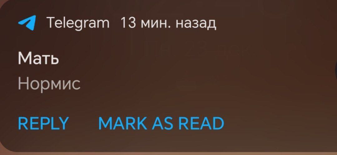 “4 Telegram 13 мин. назад Мать Нормис REPLY MARK AS READ