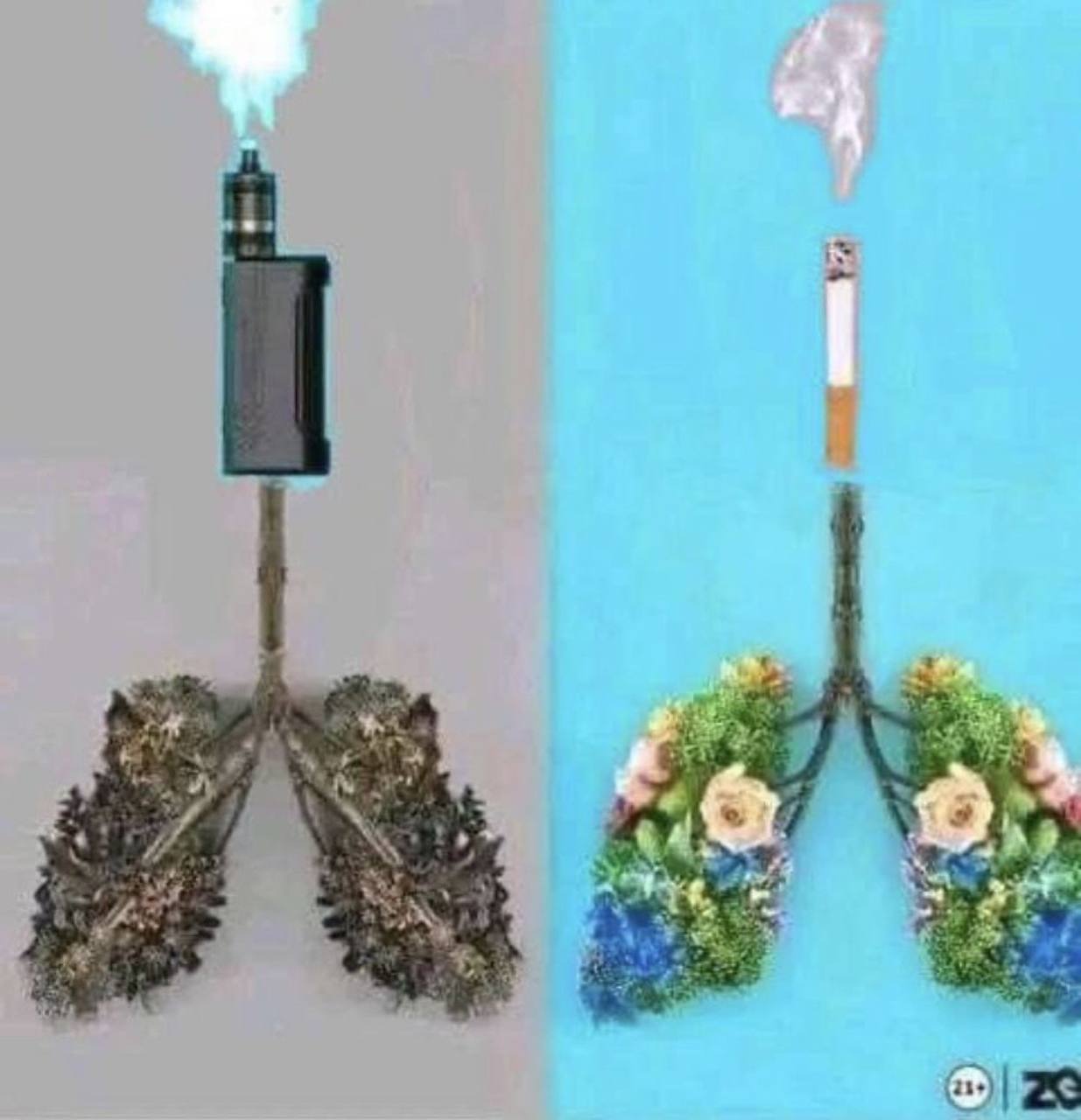 a к“ a