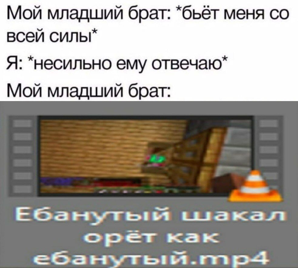Мой младший брат: *бьёт меня всей силы* Я: *несильно ему отвечаю* Мой младший брат: орет как