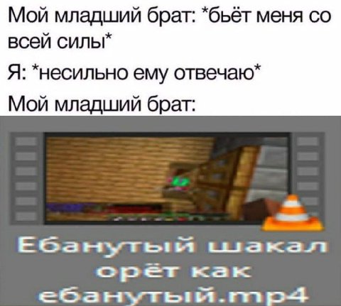 Мой младший брат: *бьёт меня всей силы* Я: *несильно ему отвечаю* Мой младший брат: орет как