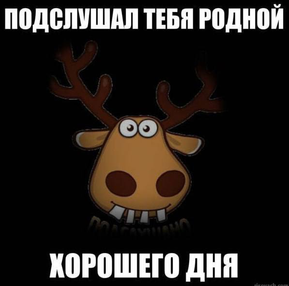 ПОДСЛУШАЛ ТЕБЯ РОДНОЙ КОРОШЕГО ДНЯ