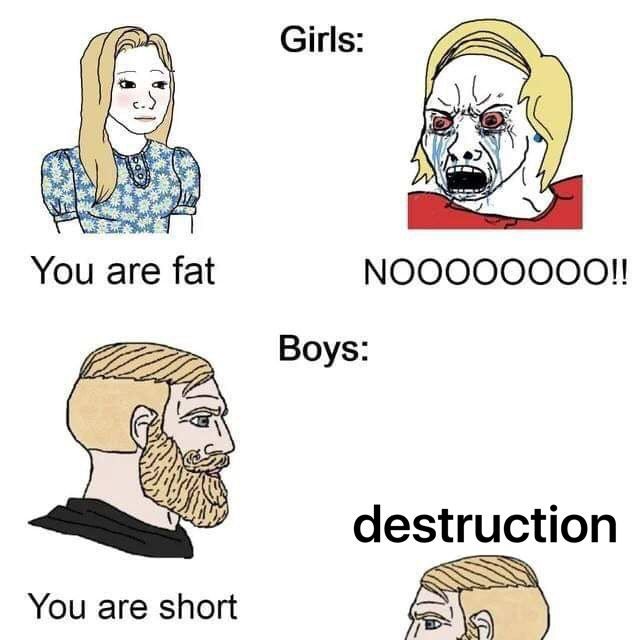 Girls: You are fat NOOOOOOOO!! 22 Boys: destruction You are short