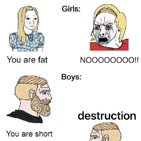 Girls: You are fat NOOOOOOOO!! 22 Boys: destruction You are short