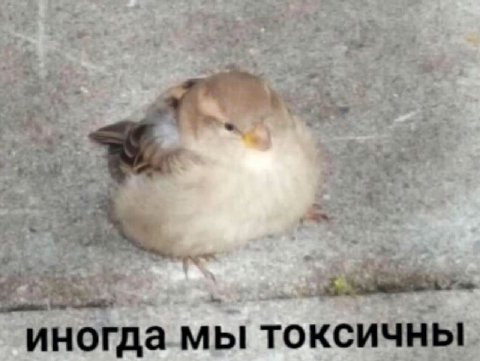 иногда мы токсичны