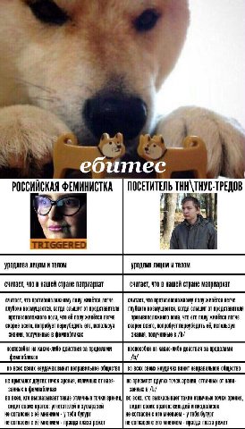 ебитес ФЕМИНИСТКА ПОСЕТИТЕЛЬ ТННАТНУС- kes уродлива лицом и телом уродлив лицом и телом считает, что в нашеи стране патриархат считает, что в нашеи стране матриархат считает, что противоположному полу