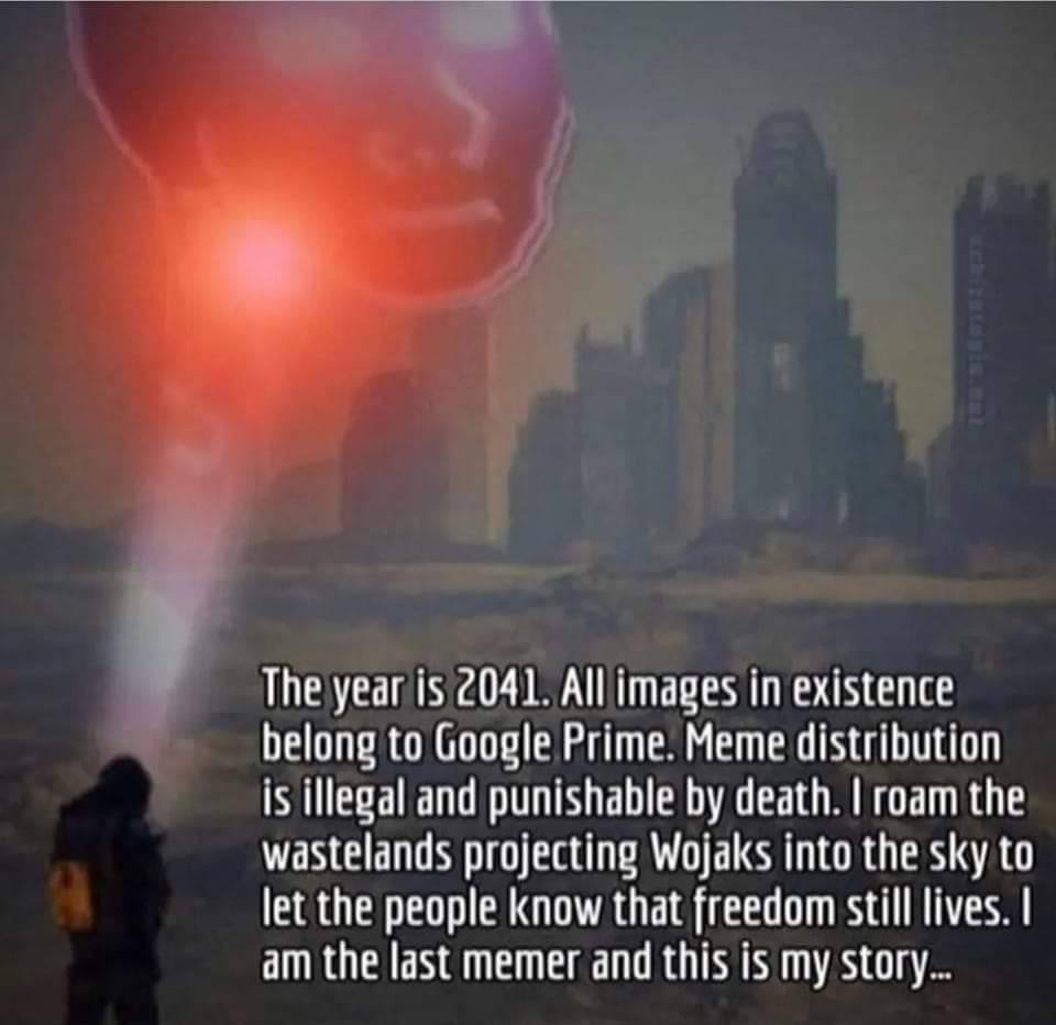 The is 2041. Allimages in existence belong to Google Prime. Meme distribution is illegal and punishable death. roam the wastelands projecting Wojaks into the sky to let the people know that freedom st
