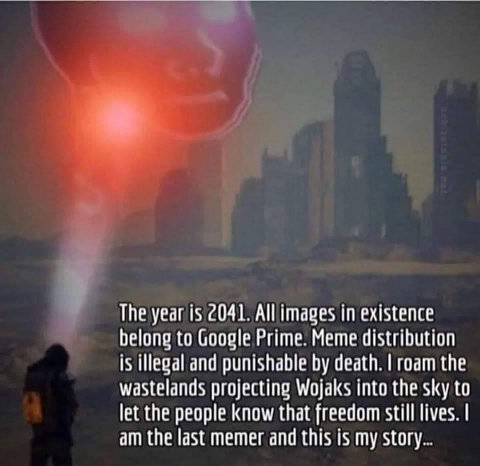 The is 2041. Allimages in existence belong to Google Prime. Meme distribution is illegal and punishable death. roam the wastelands projecting Wojaks into the sky to let the people know that freedom st