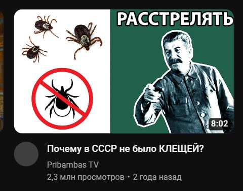 я не шучу про исторические каналы в час ночи потому что исторические каналы в час ночи это моя жизненная позиция