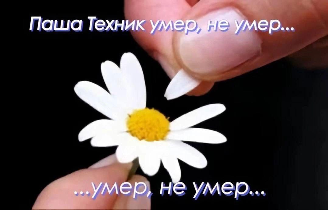 Паша Техник умер уллер... ...умер, не умер...