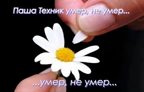 Паша Техник умер уллер... ...умер, не умер...