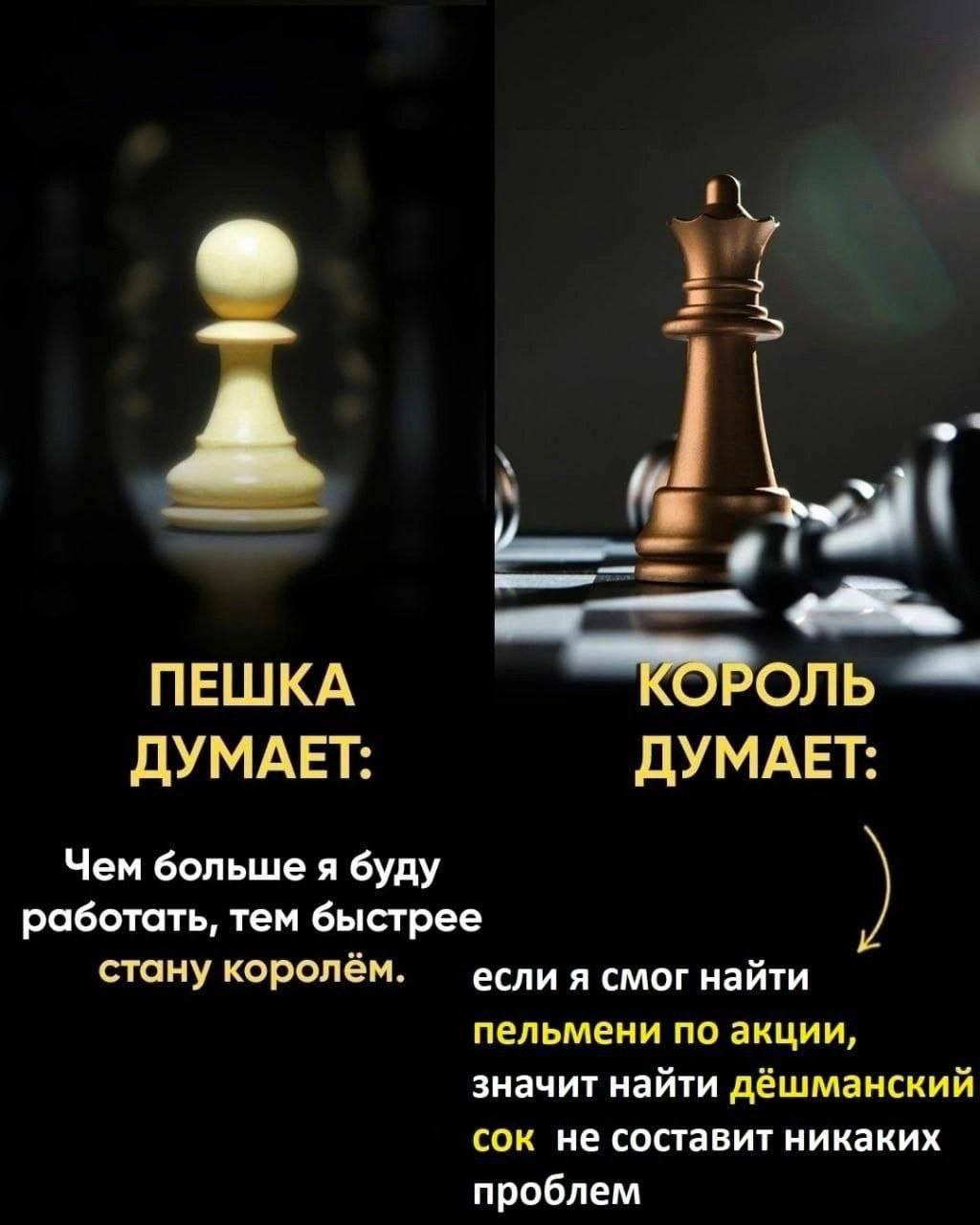 me и ПЕШКА КОРОЛЬ ДУМАЕТ: ДУМАЕТ: Чем больше я буду работать, тем быстрее стану королём. если я смог найти пельмени по акции, значит найти дёшманский сок не составит никаких проблем