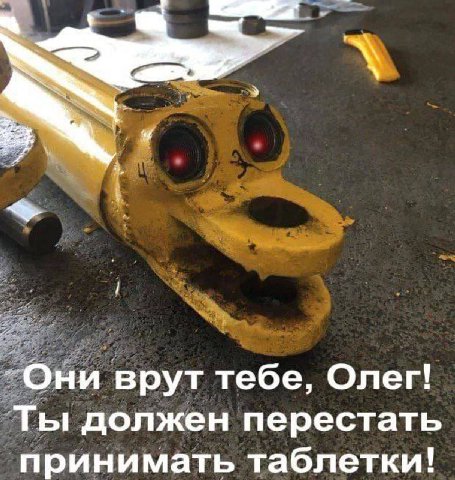 -Они врут тебе, Олег! Ты должен перестать принимать таблетки!