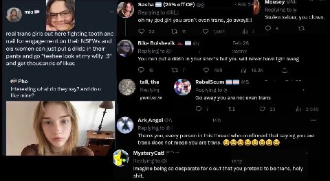 there's а war breaking out on NSFW ТмлЕег bc trans- identified male porn models are angry that an actual female who pretends to have a dick is making more money doing trans porn than they are Imaoooo0