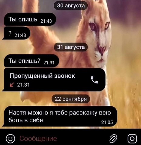 30 августа Ты спишь 21:43 21:43 31 августа Ты спишь? 21.31 Пропущенный звонок 21:31 22 сентября Настя можно я тебе расскажу всю боль в себе 21:05 a в