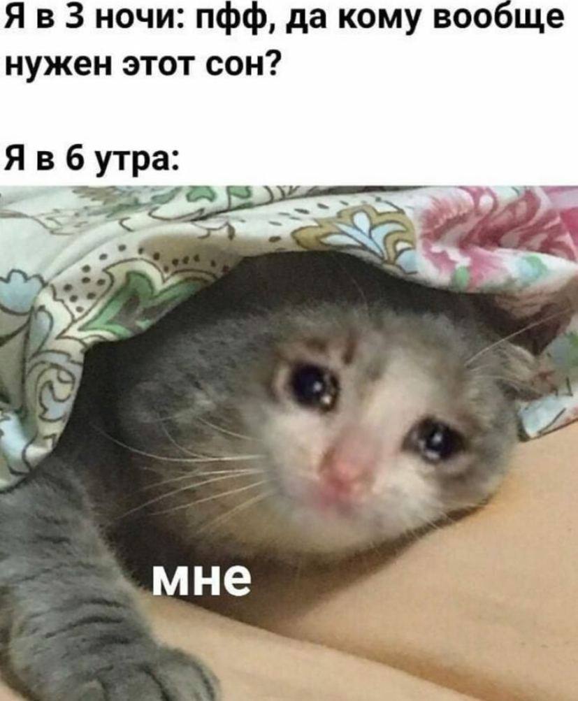 3 ночи: да кому вообще нужен этот сон? Явб утра мне
