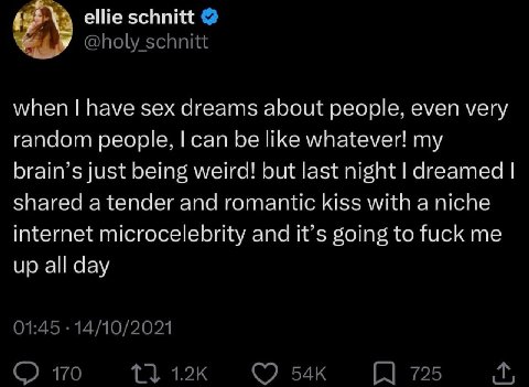 ellie schnitt у when have sex dreams about people, even very random people, can be like whatever! my brain’s just being weird! but last night dreamed shared a tender and romantic kiss with a niche int