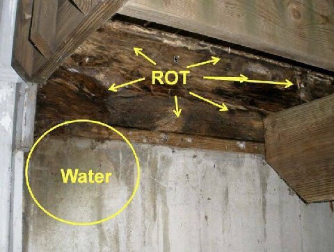 ROT Water