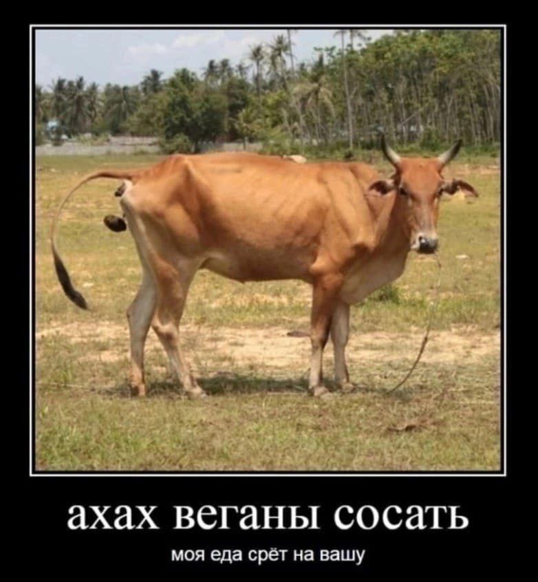 ахах веганы сосать моя еда срёт на вашу