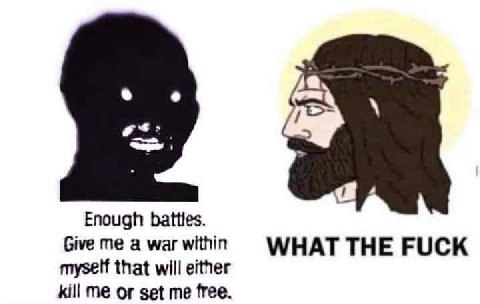 Enough Give me a war within WHAT THE FUCK myself that will either kill me or set me free.