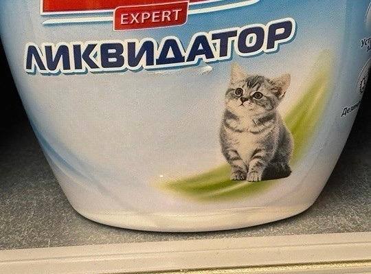 ЕХР FRI 25; “AS: 4 alt и #1 1 a an 4 я.