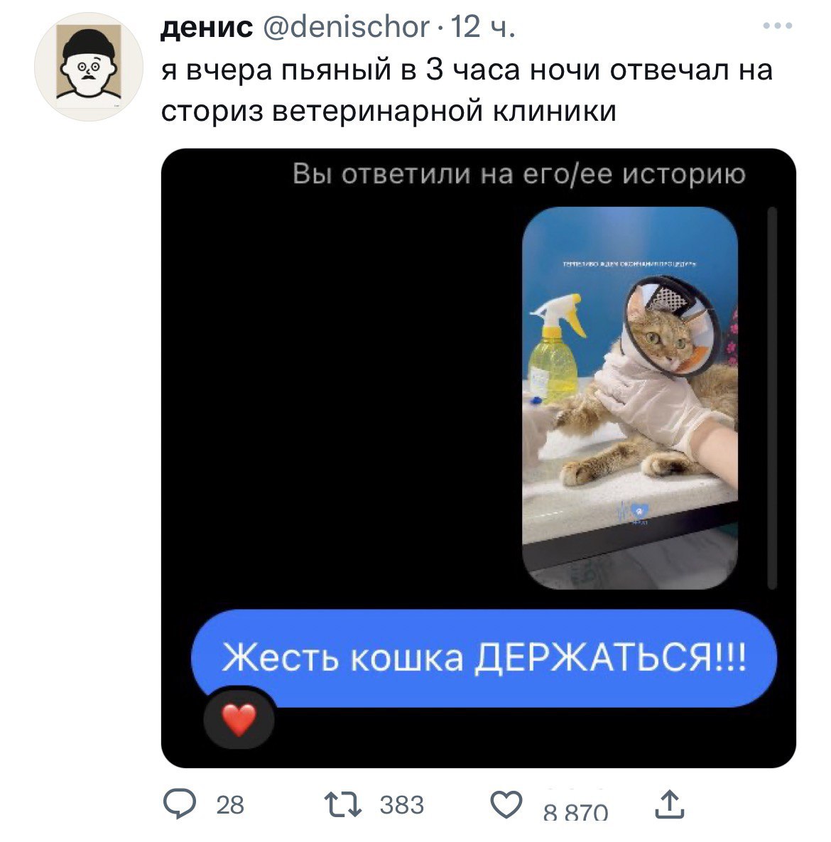 денис 12 я вчера пьяный в 3 часа ночи отвечал на сториз ветеринарной клиники Вы ответили на его/ее историю Жесть кошка ДЕРЖАТЬСЯ!!! С 28 383 gan
