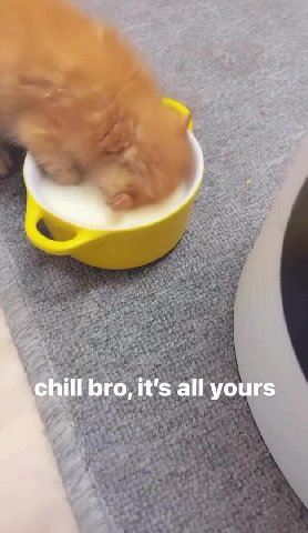 chill bro, it's all yours