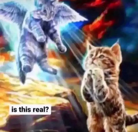 is this real?