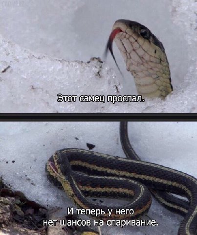ааа