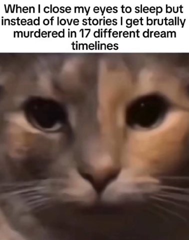 When close my eyes to sleep but instead of love stories get brutally murdered in 17 different dream timelines