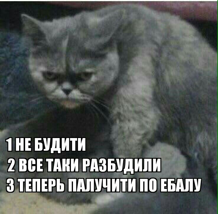 1 НЕБУДИТИ 2 ВСЕТАКИ РАЗБУДИЛИ 3 ТЕПЕРЬ ПАЛУЧИТИ ПО ЕБАЛУ
