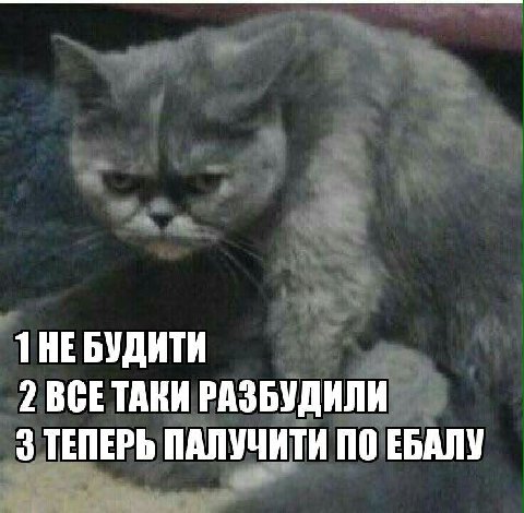 1 НЕБУДИТИ 2 ВСЕТАКИ РАЗБУДИЛИ 3 ТЕПЕРЬ ПАЛУЧИТИ ПО ЕБАЛУ
