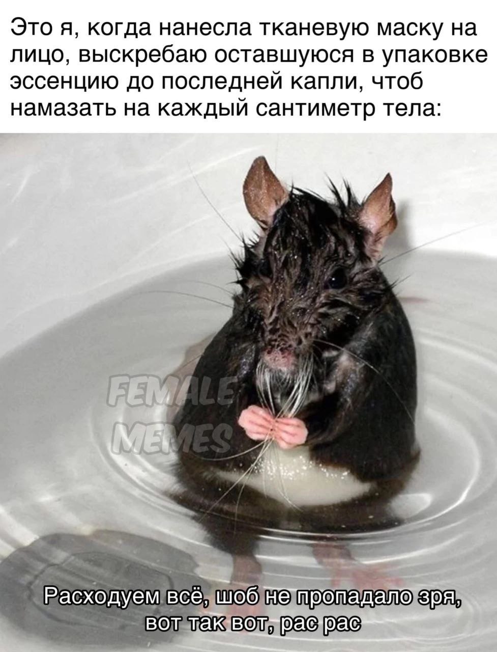 Это я, когда нанесла тканевую маску на лицо, выскребаю оставшуюся в упаковке эссенцию до последней капли, чтоб намазать на каждый сантиметр тела: у cha С одуемв OUD
