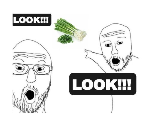 LOOK 4