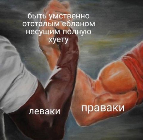 быть умственно отсталым ебланом несущим полную хуету леваки праваки