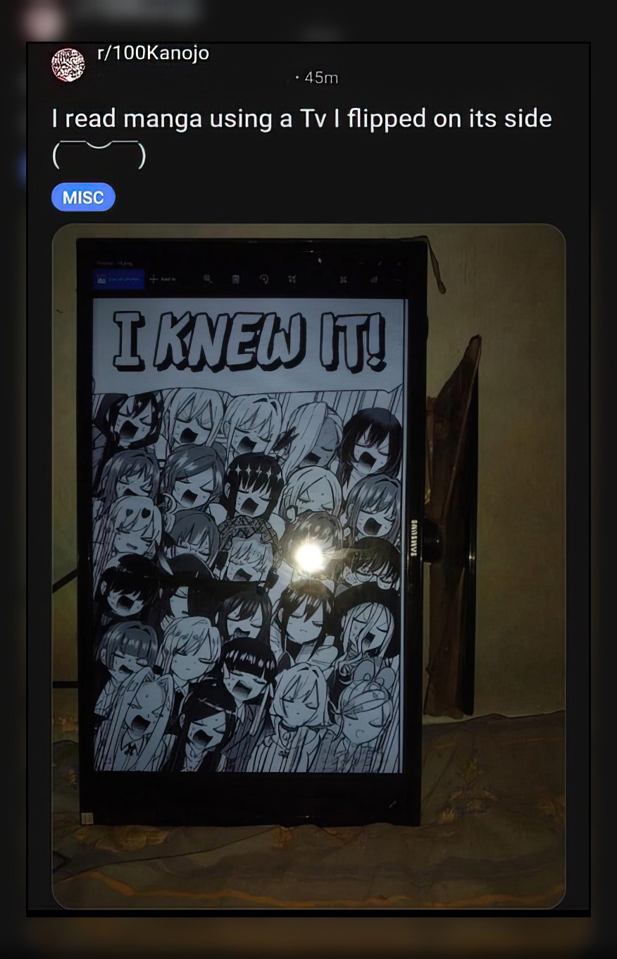 г/ТООКапо]о read manga using а flipped its side MISC