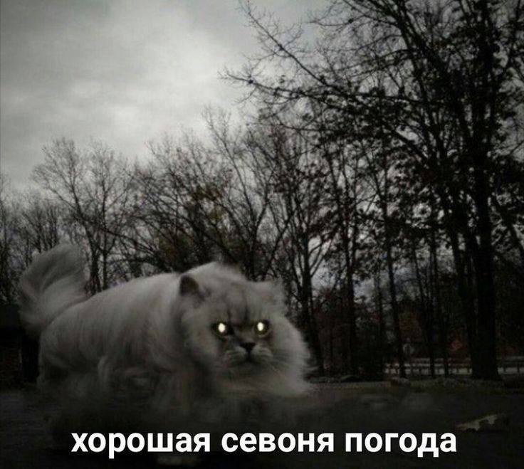 хорошая севоня погода