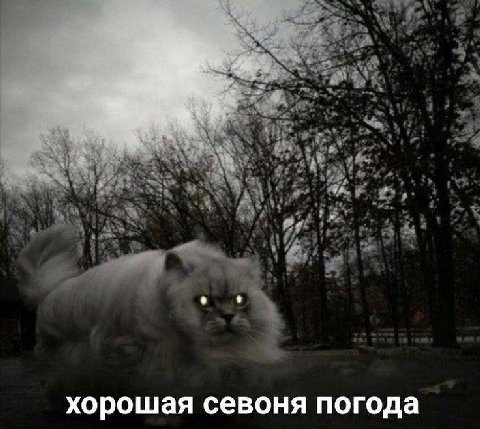 хорошая севоня погода