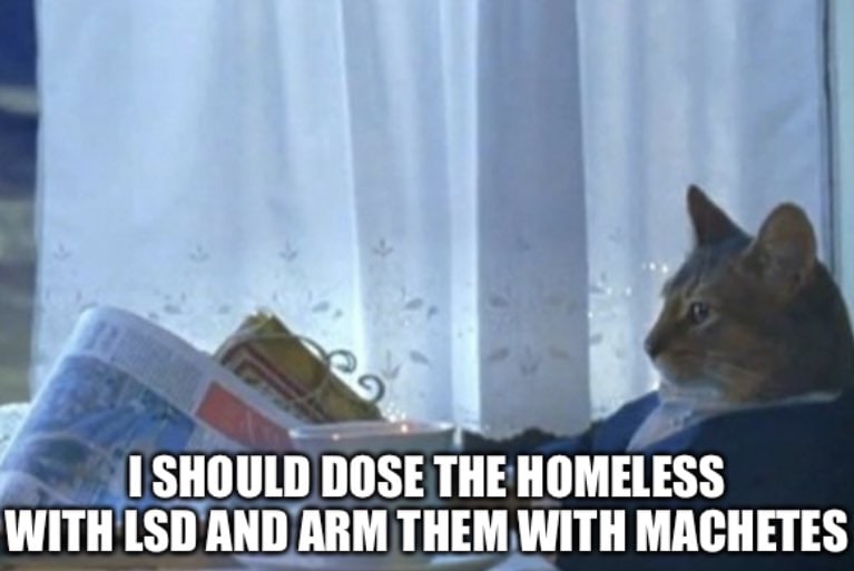 DOSE THE HOMELESS WITH LSD AND ARM THEM WITH MACHETES